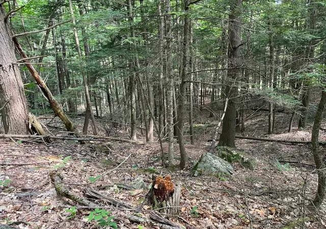 9th image of Map 204 Lot 153 Bear Rd, Haverhill, NH 03765 | MLS# 5101266
