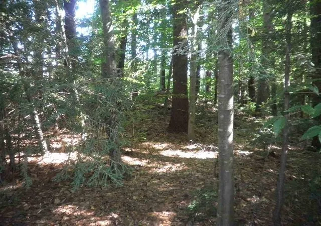1st image of Hogg Hill Rd, Bradford, NH 03221 | MLS# 5101318