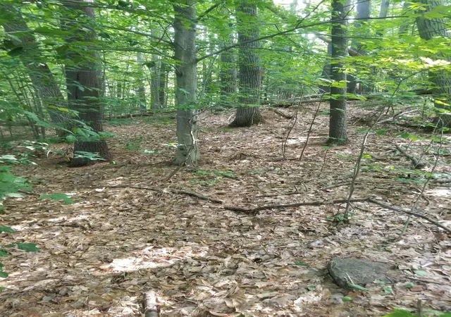 2nd image of Hogg Hill Rd, Bradford, NH 03221 | MLS# 5101318