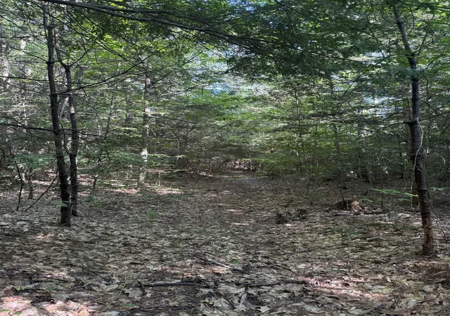 2nd image of 60 Pound Rd, Sanbornton, NH 03269 | MLS# 5101328