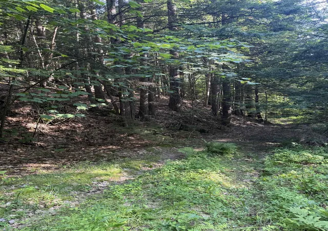 3rd image of 60 Pound Rd, Sanbornton, NH 03269 | MLS# 5101328