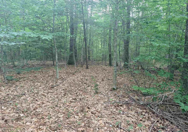 1st image of 402 Baptist Hill Rd, Canterbury, NH 03224 | MLS# 5101334