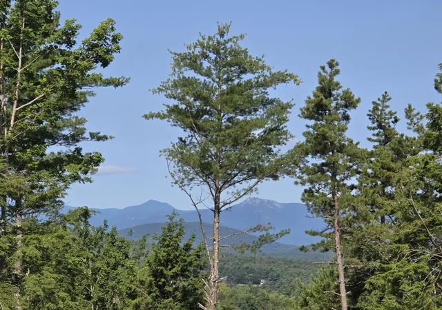 Photo 1 of Land for sale at Lot A7 Hi Vista Rd, Brownfield, ME 04010 | MLS# 5101342 | Listing updated on 2026-09-01