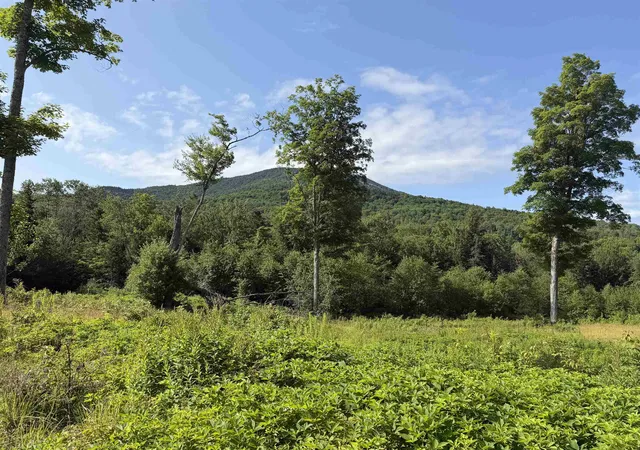 Photo 3 of Land for sale at 1559 Pinkham Rd, East Burke, VT 05832 | MLS# 5101467 | Listing updated on 2026-07-24