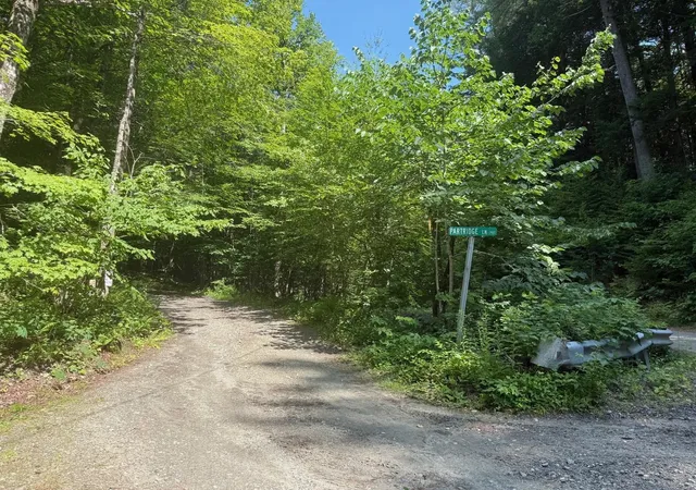 Photo 3 of Land for sale at 0 Partridge Ln, Jamaica, VT 05343 | MLS# 5101508 | Listing updated on 2026-07-24