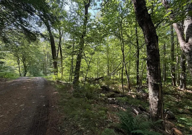 Photo 4 of Land for sale at 0 Partridge Ln, Jamaica, VT 05343 | MLS# 5101508 | Listing updated on 2026-07-24