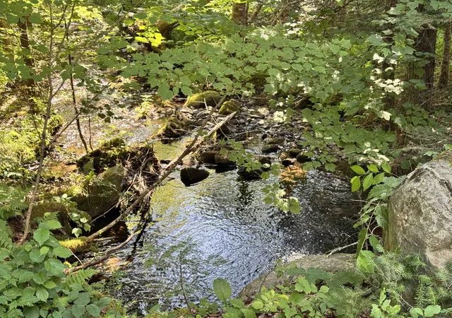 Photo 3 of Land for sale at 88 Town Line Rd, North Stratford, NH 03590 | MLS# 5101509 | Listing updated on 2026-07-24