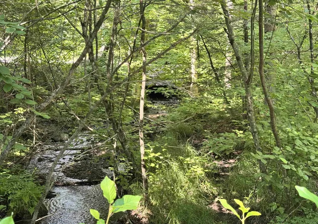 Photo 3 of Land for sale at 88 Town Line Rd, North Stratford, NH 03590 | MLS# 5101509 | Listing updated on 2026-07-24