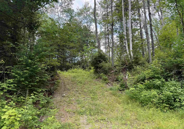 Photo 1 of Land for sale at Lot 5 Vt 102 Rte, Guildhall, VT 05905 | MLS# 5101645 | Listing updated on 2026-07-24