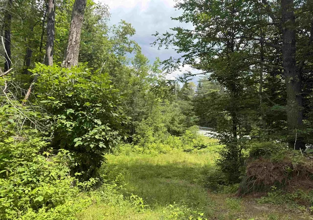 Photo 2 of Land for sale at Lot 5 Vt 102 Rte, Guildhall, VT 05905 | MLS# 5101645 | Listing updated on 2026-07-24
