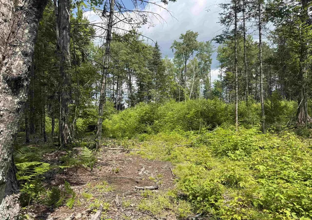 Photo 3 of Land for sale at Lot 5 Vt 102 Rte, Guildhall, VT 05905 | MLS# 5101645 | Listing updated on 2026-07-24