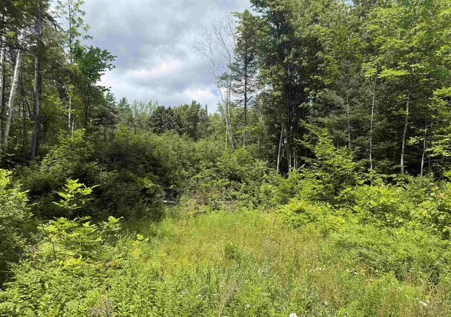 Photo 3 of Land for sale at Lot 5 Vt 102 Rte, Guildhall, VT 05905 | MLS# 5101645 | Listing updated on 2026-07-24