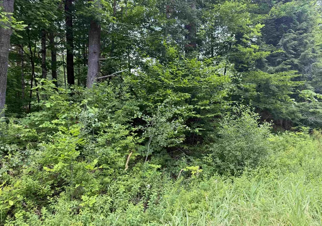 Photo 4 of Land for sale at Lot 5 Vt 102 Rte, Guildhall, VT 05905 | MLS# 5101645 | Listing updated on 2026-07-24