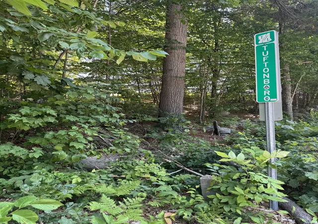 Photo 3 of Land for sale at Lot 154 2 Old Mountain Rd, Moultonborough, NH 03254 | MLS# 5101705 | Listing updated on 2026-07-31
