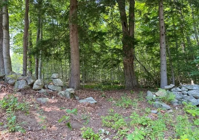 Photo 2 of Single family home for sale at 96 Nelson Hill Rd, Bradford, NH 03221 | MLS# 5101735 | Listing updated on 2026-08-18