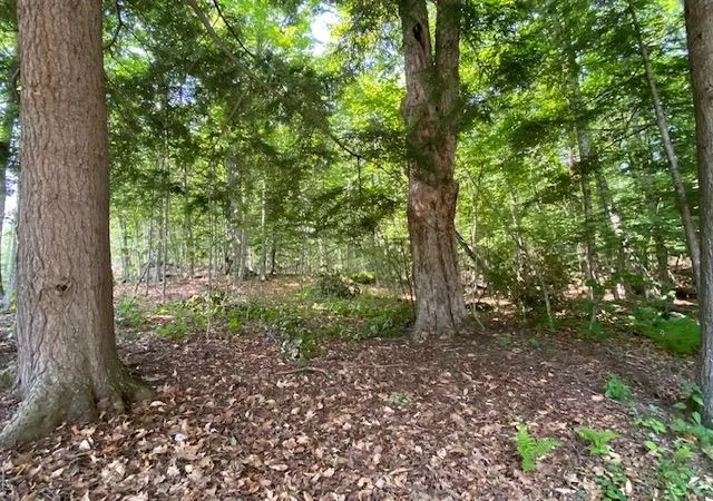 Photo 4 of Single family home for sale at 96 Nelson Hill Rd, Bradford, NH 03221 | MLS# 5101735 | Listing updated on 2026-08-18