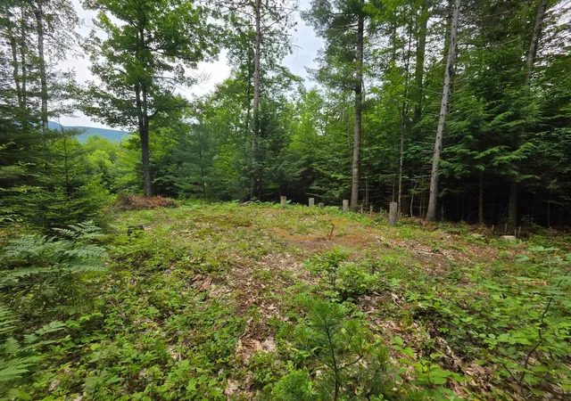 2nd image of 00 Stimson Rd, Warren, NH 03279 | MLS# 5101742