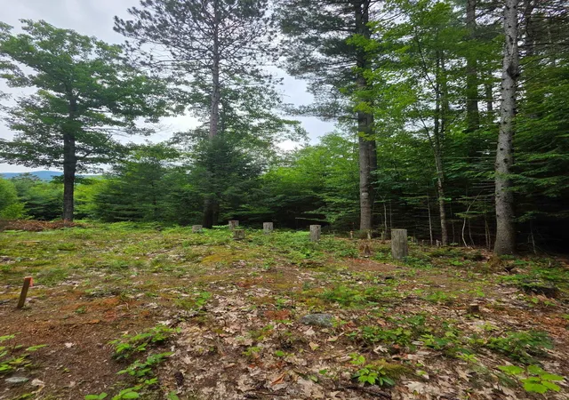 3rd image of 00 Stimson Rd, Warren, NH 03279 | MLS# 5101742