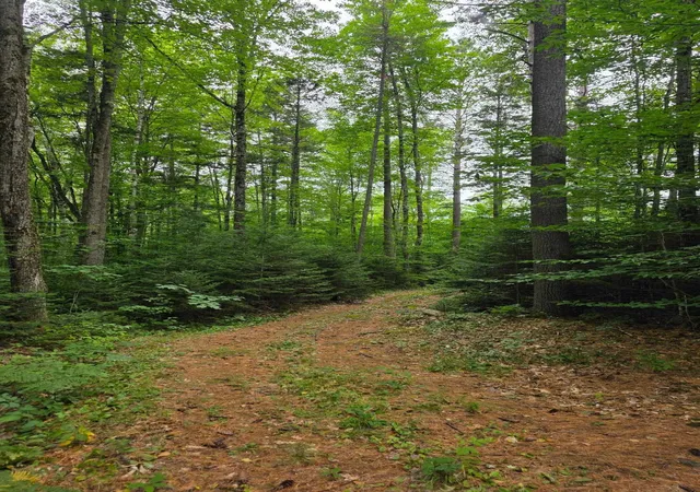 4th image of 00 Stimson Rd, Warren, NH 03279 | MLS# 5101742