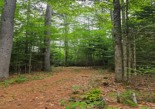 5th image of 00 Stimson Rd, Warren, NH 03279 | MLS# 5101742
