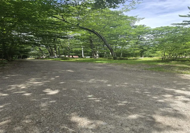 3rd image of 1043 Shedd Hill Rd, Stoddard, NH 03464 | MLS# 5101756