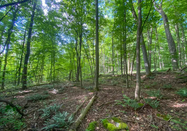 Photo 1 of Sale Pending at 0 Sherman Ln, New Haven, VT 05472 | MLS# 5101768 | Listing updated on 2026-09-10