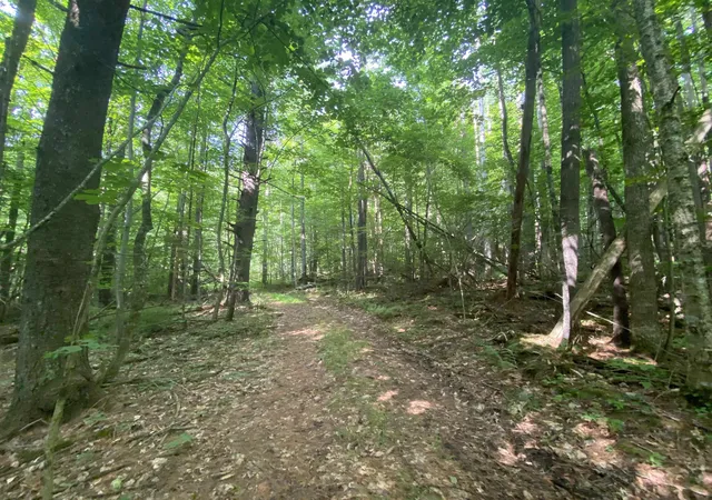 Photo 3 of Sale Pending at 0 Sherman Ln, New Haven, VT 05472 | MLS# 5101768 | Listing updated on 2026-09-10