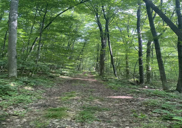 Photo 4 of Sale Pending at 0 Sherman Ln, New Haven, VT 05472 | MLS# 5101768 | Listing updated on 2026-09-10