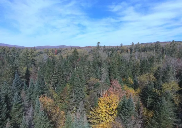 Photo 2 of Land for sale at 0 Thomas West Rd, Lunenburg, VT 05906 | MLS# 5101774 | Listing updated on 2026-07-26