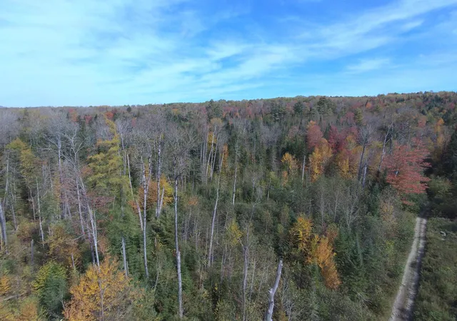 Photo 3 of Land for sale at 0 Thomas West Rd, Lunenburg, VT 05906 | MLS# 5101774 | Listing updated on 2026-07-26
