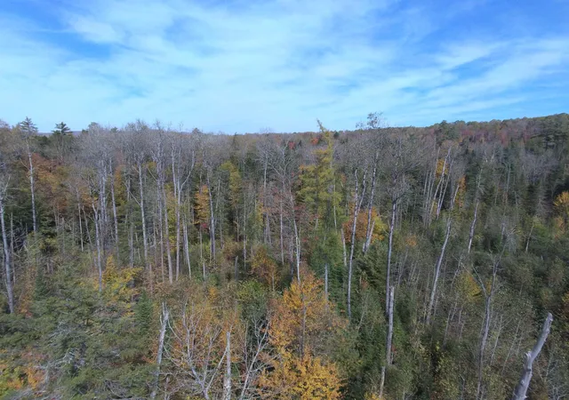 Photo 3 of Land for sale at 0 Thomas West Rd, Lunenburg, VT 05906 | MLS# 5101774 | Listing updated on 2026-07-26