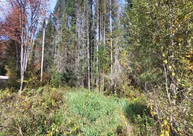 Photo 4 of Land for sale at 0 Thomas West Rd, Lunenburg, VT 05906 | MLS# 5101774 | Listing updated on 2026-07-26