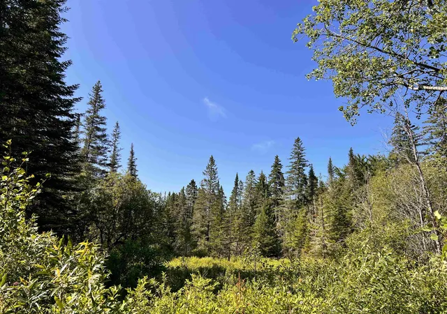 Photo 1 of Land for sale at 00 Noyes Rd, Stewartstown, NH 03597 | MLS# 5101785 | Listing updated on 2026-07-27
