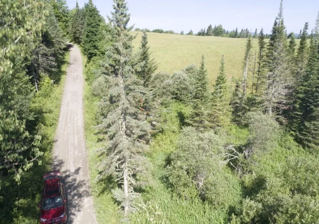Photo 16 of Land for sale at 00 Noyes Rd, Stewartstown, NH 03597 | MLS# 5101785 | Listing updated on 2026-07-27