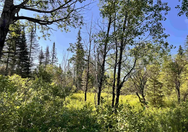 Photo 2 of Land for sale at 00 Noyes Rd, Stewartstown, NH 03597 | MLS# 5101785 | Listing updated on 2026-07-27