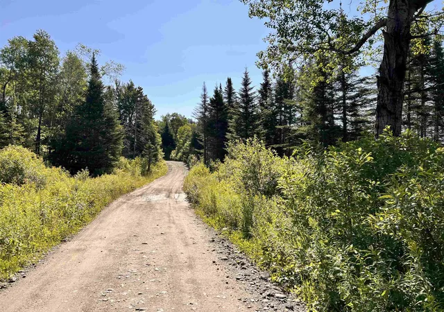 Photo 3 of Land for sale at 00 Noyes Rd, Stewartstown, NH 03597 | MLS# 5101785 | Listing updated on 2026-07-27