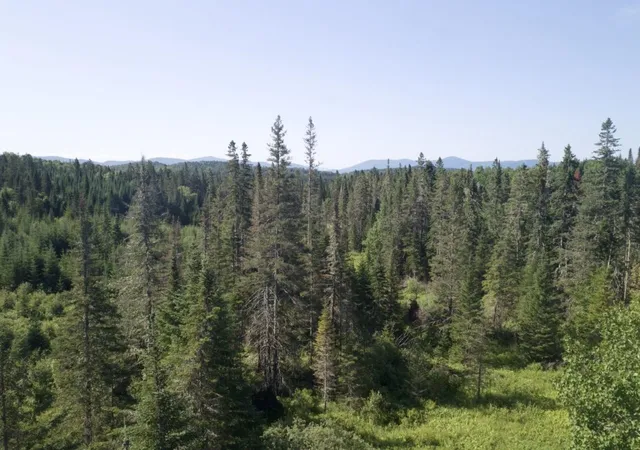 Photo 4 of Land for sale at 00 Noyes Rd, Stewartstown, NH 03597 | MLS# 5101785 | Listing updated on 2026-07-27