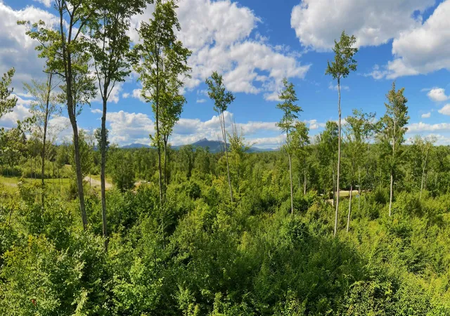2nd image of Lot 6 Whipples Wy, Tamworth, NH 03817 | MLS# 5101801