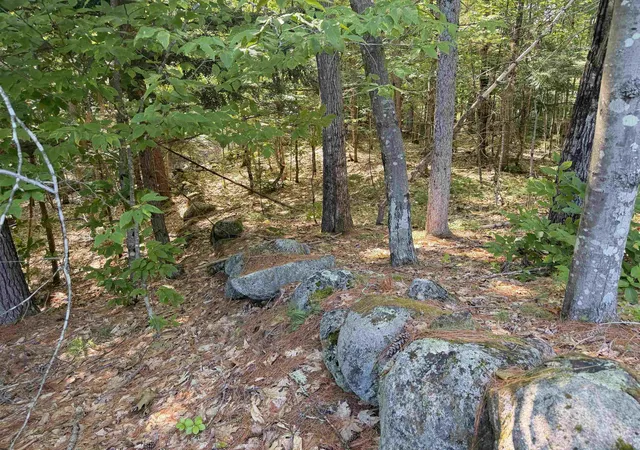 Photo 1 of Land for sale at 000 Alden Washburn Dr, Chocorua, NH 03817 | MLS# 5101909 | Listing updated on 2026-08-17