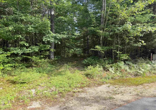 Photo 2 of Land for sale at 000 Alden Washburn Dr, Chocorua, NH 03817 | MLS# 5101909 | Listing updated on 2026-08-17