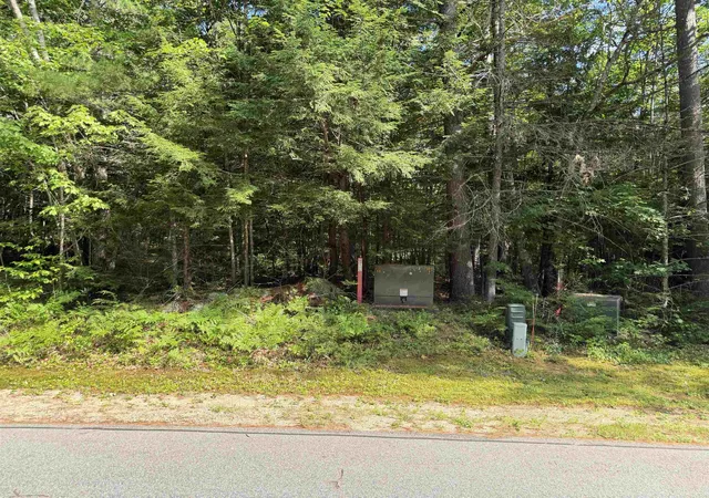 Photo 3 of Land for sale at 000 Alden Washburn Dr, Chocorua, NH 03817 | MLS# 5101909 | Listing updated on 2026-08-17