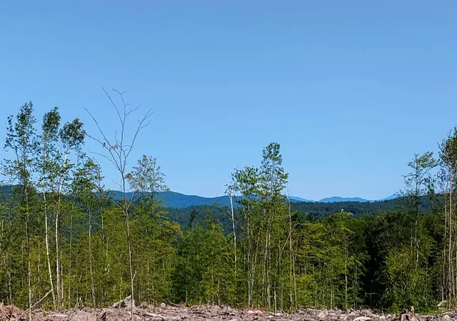 1st image of Xx Isaac Colby Rd, Sanbornton, NH 03269 | MLS# 5101942