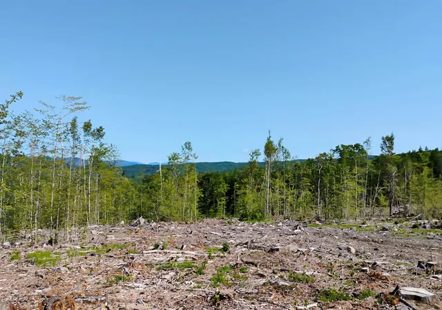 2nd image of Xx Isaac Colby Rd, Sanbornton, NH 03269 | MLS# 5101942