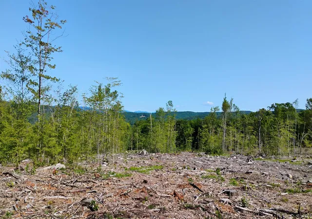3rd image of Xx Isaac Colby Rd, Sanbornton, NH 03269 | MLS# 5101942