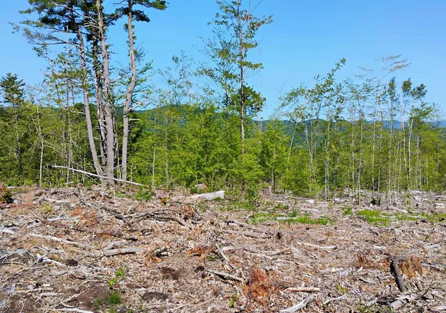 4th image of Xx Isaac Colby Rd, Sanbornton, NH 03269 | MLS# 5101942