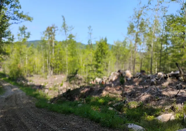 5th image of Xx Isaac Colby Rd, Sanbornton, NH 03269 | MLS# 5101942
