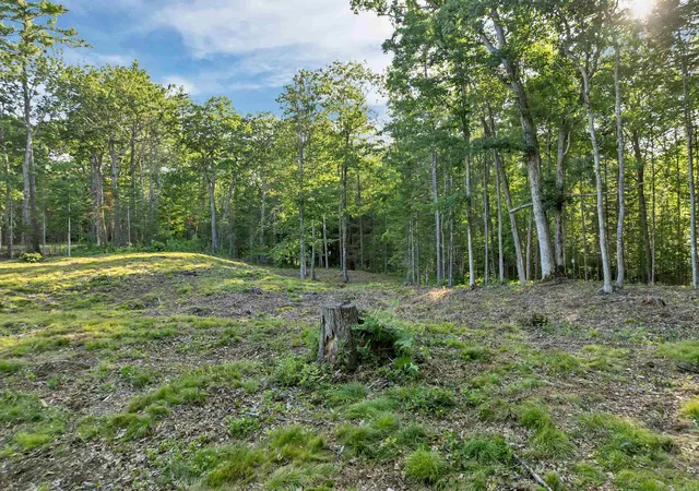 Photo 3 of Land for sale at Lot 52 Remington Ct, Melvin Village, NH 03850 | MLS# 5101947 | Listing updated on 2026-07-27