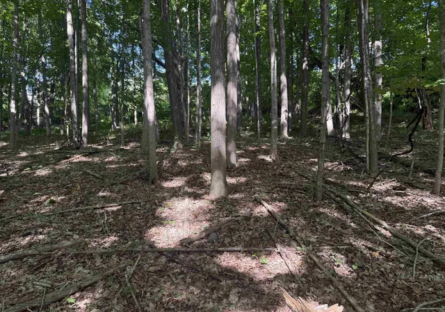 Photo 1 of Land for sale at Tbd Route 7 North, Middlebury, VT 05753 | MLS# 5102034 | Listing updated on 2026-08-04