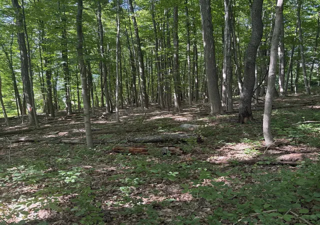 Photo 3 of Land for sale at Tbd Route 7 North, Middlebury, VT 05753 | MLS# 5102034 | Listing updated on 2026-08-04