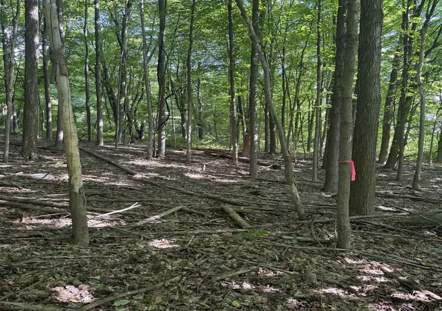 Photo 4 of Land for sale at Tbd Route 7 North, Middlebury, VT 05753 | MLS# 5102034 | Listing updated on 2026-08-04